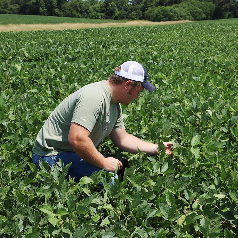 JWCC ag student studying crops